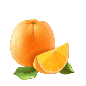 illus orange