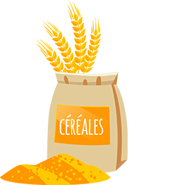illustration cereales