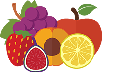 illustration fruits